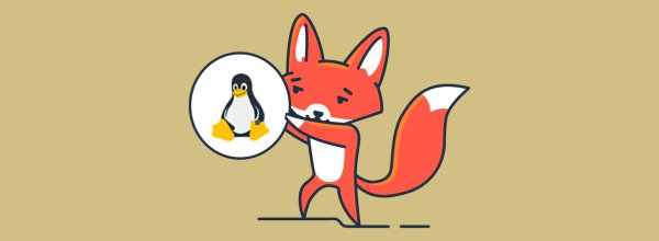 Fedora vs Debian: A Simple Guide to Choosing the Right Linux Distribution for Your Organization