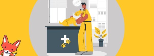 Top 8 Veterinary Practice Metrics and Key Performance Indicators (KPIs)