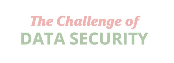 The Challenge of DATA SECURITY